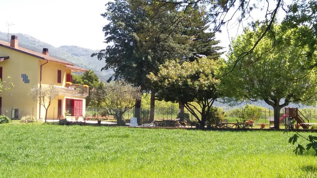 B&B Il Pizzagiallo Massa Martana Exterior photo